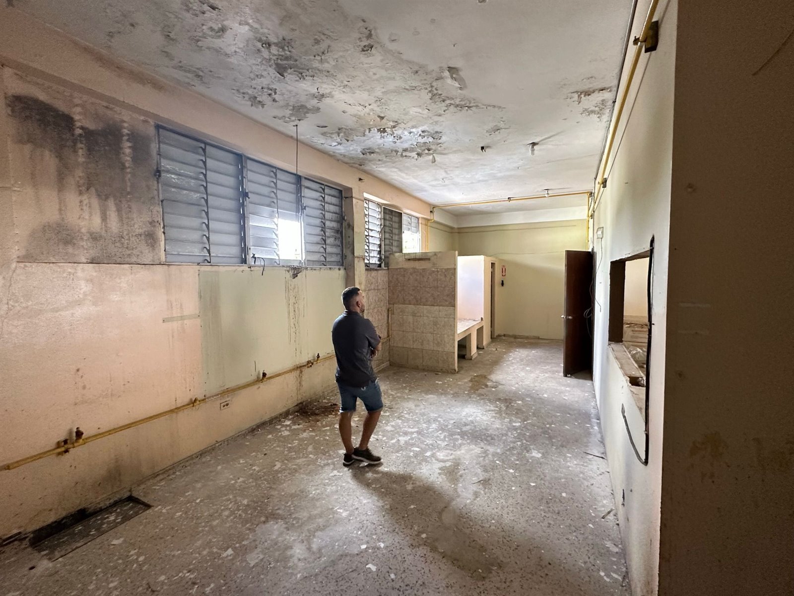 Renovación 2