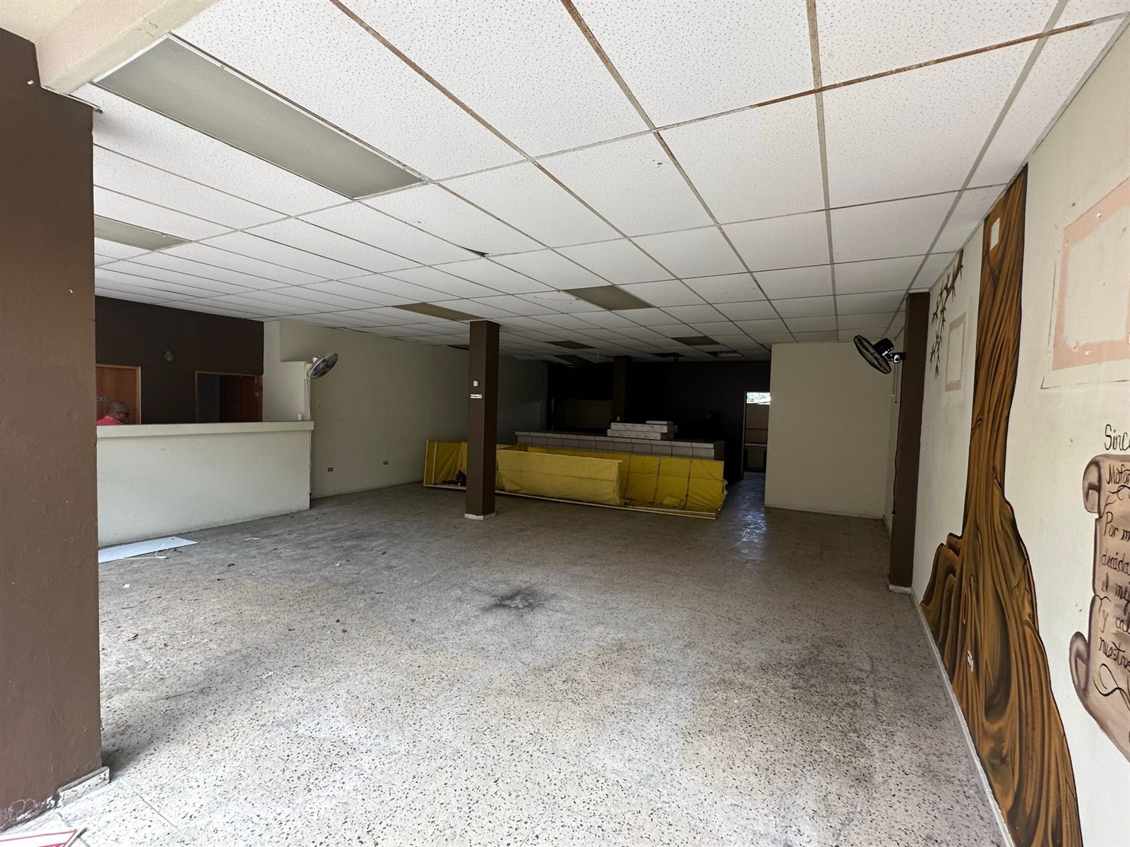Renovación 3